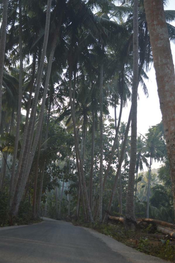 Nyuh Gading Bungalow Nusa Penida Sakti Exteriér fotografie